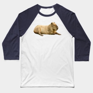 Lazy Sunday afternoon Capybara Baseball T-Shirt